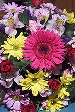 Please wait while images load...