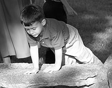 Please wait while images load...