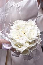 Please wait while images load...