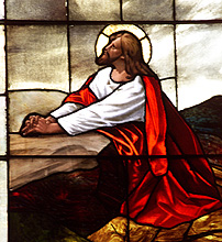 Please wait while images load...