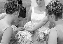 Please wait while images load...