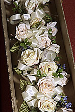 Please wait while images load...