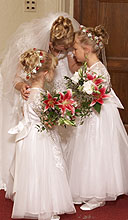 Please wait while images load...