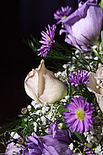 All images may take several minutes to load, but are well worth it!