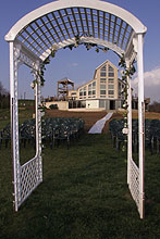 Please wait while images load...