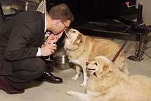 Please wait while images load...