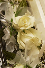 Please wait while images load...